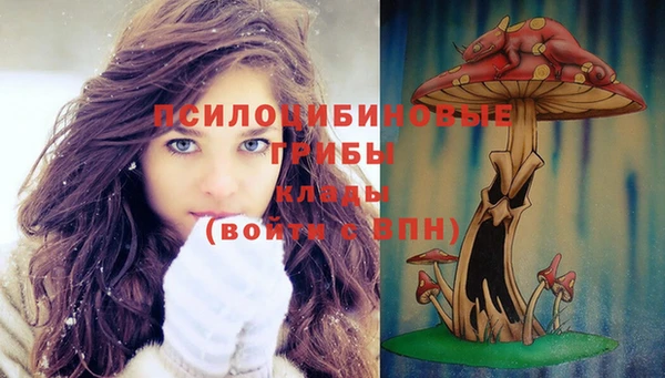 соль курить ск Липки